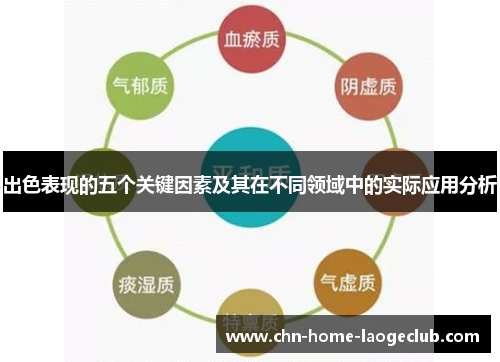 出色表现的五个关键因素及其在不同领域中的实际应用分析