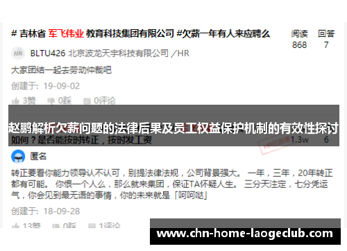 赵鹏解析欠薪问题的法律后果及员工权益保护机制的有效性探讨