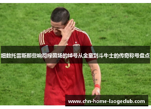 细数托雷斯那些响彻绿茵场的绰号从金童到斗牛士的传奇称号盘点