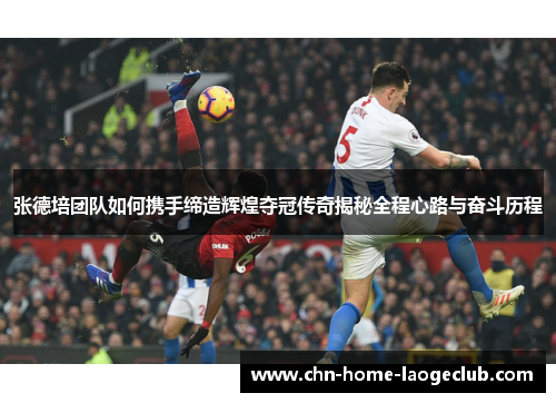 张德培团队如何携手缔造辉煌夺冠传奇揭秘全程心路与奋斗历程