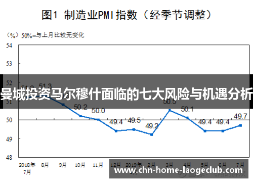 曼城投资马尔穆什面临的七大风险与机遇分析