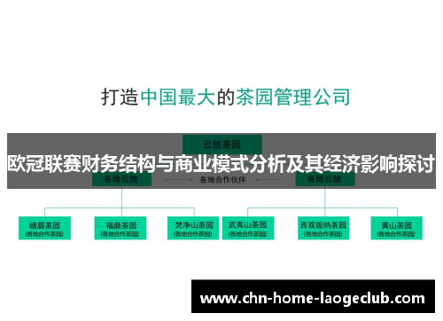 欧冠联赛财务结构与商业模式分析及其经济影响探讨