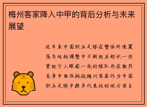 梅州客家降入中甲的背后分析与未来展望